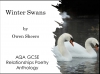 Winter Swans Teaching Resources (slide 1/52)